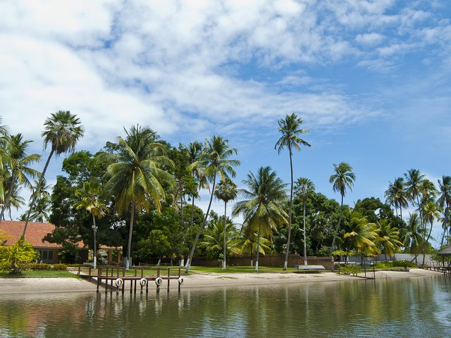 Обои небо, вода, пейзаж, пляж, пальмы, the sky, water, landscape, beach, palm trees разрешение 1920x1080 Загрузить