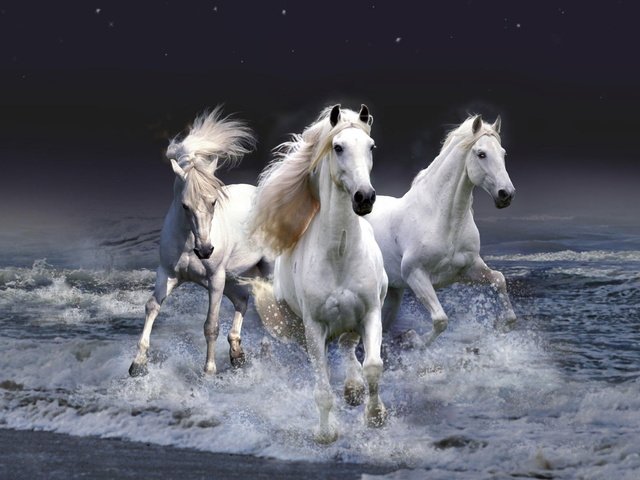 Обои небо, копыта, лошадь, вода, волны, белые, лошади, кони, грива, бег, running, the sky, hooves, horse, water, wave, white, horses, mane разрешение 1920x1200 Загрузить