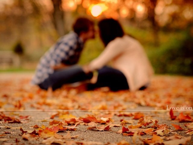 Обои листья, осень, любовь, nastroenie, para, lyubov, nastroeniya, pary, parochki, п, leaves, autumn, love, p разрешение 1920x1080 Загрузить