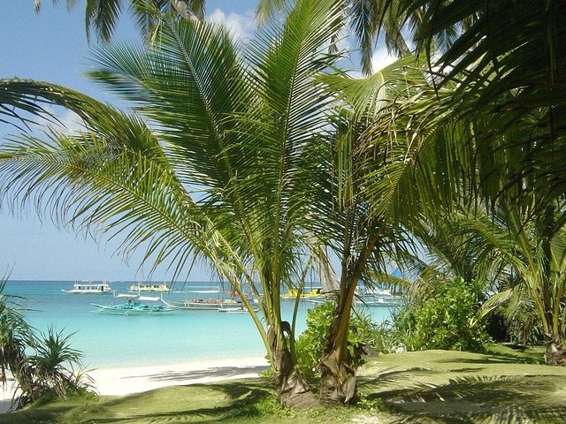 Обои море, песок, пляж, лодки, пальмы, тропики, sea, sand, beach, boats, palm trees, tropics разрешение 1920x1080 Загрузить