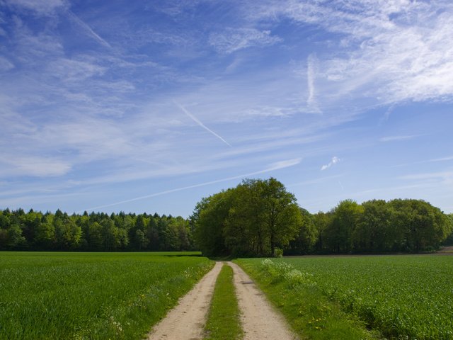 Обои небо, дорога, облака, деревья, зелень, поле, the sky, road, clouds, trees, greens, field разрешение 1920x1200 Загрузить