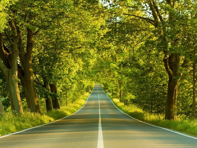 Обои дорога, деревья, весна, road, trees, spring разрешение 1920x1440 Загрузить