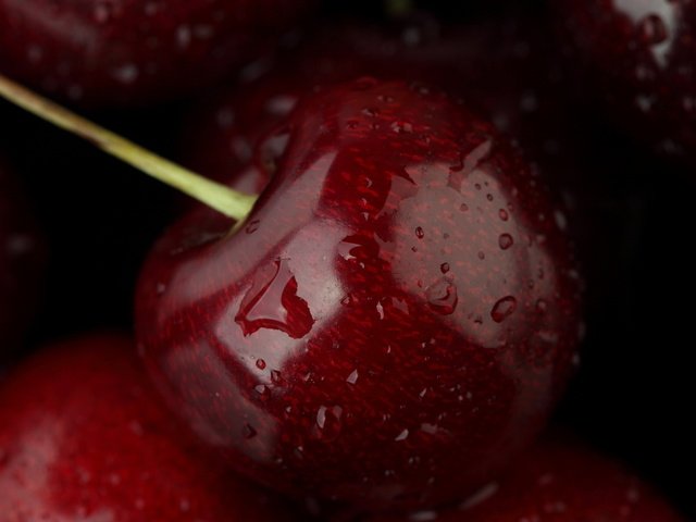 Обои вода, макро, капли, еда, черешня, фрукт, плоды, вишенка, water, macro, drops, food, cherry, fruit разрешение 1920x1080 Загрузить