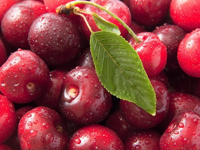 Обои макро, фото, черешня, вишня, сладкая, sweet cherry, ciliege, macro, photo, cherry, sweet разрешение 6000x4217 Загрузить