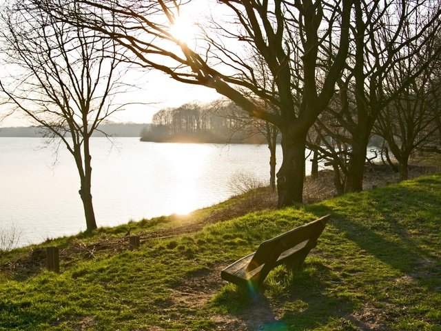 Обои деревья, озеро, берег, парк, скамейка, trees, lake, shore, park, bench разрешение 2048x1280 Загрузить