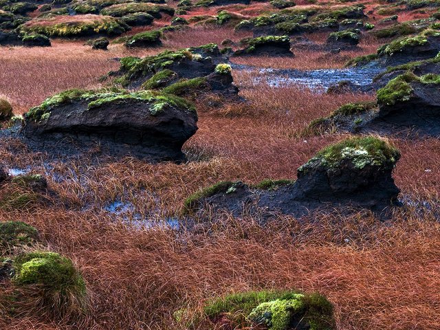 Обои трава, камни, болото, мох, ирландия, графство донегол, grass, stones, swamp, moss, ireland, county donegal разрешение 1920x1080 Загрузить