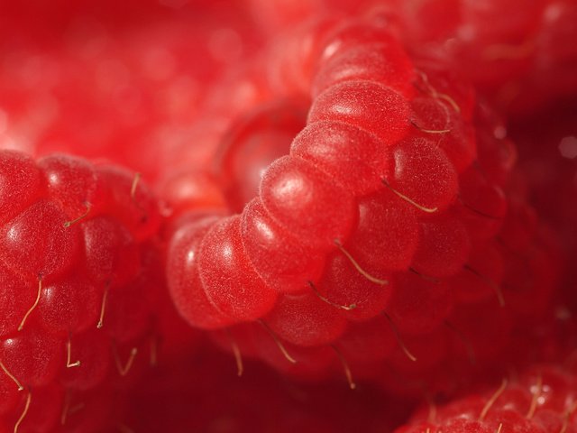 Обои макро, малина, ягода, спелая, ягоды, красная малинка, macro, raspberry, berry, ripe, berries, red raspberry разрешение 1920x1200 Загрузить