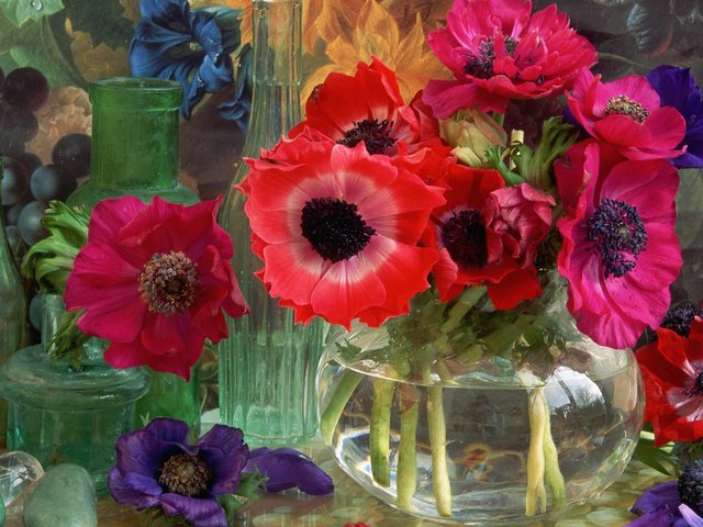 Обои цветы, картина, маки, букет, ваза, бутылки, натюрморт, flowers, picture, maki, bouquet, vase, bottle, still life разрешение 1920x1080 Загрузить