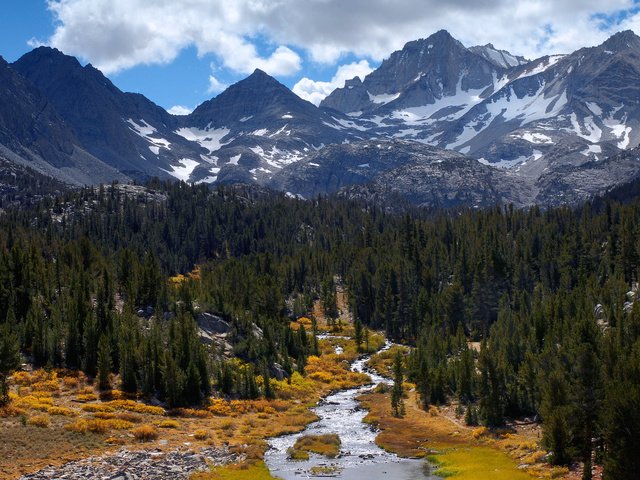 Обои деревья, река, горы, природа, лес, пейзаж, trees, river, mountains, nature, forest, landscape разрешение 1920x1200 Загрузить