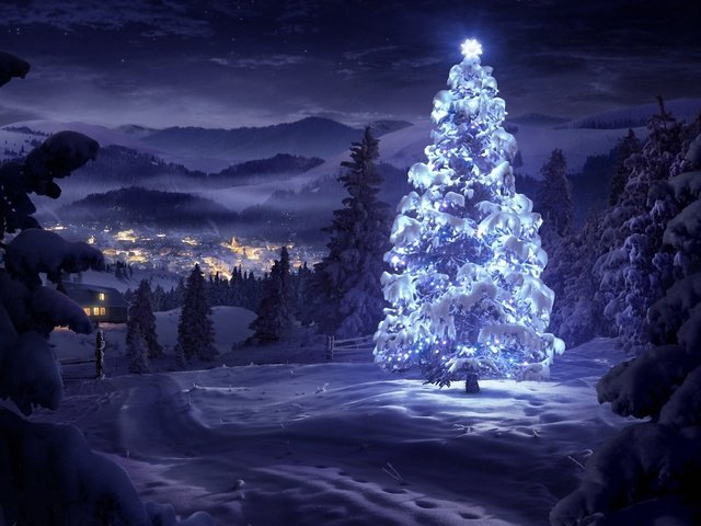 Обои новый год, елка, лес, зима, праздник, рождество, зимний, новогодняя, в лесу, new year, tree, forest, winter, holiday, christmas, in the woods разрешение 1920x1080 Загрузить