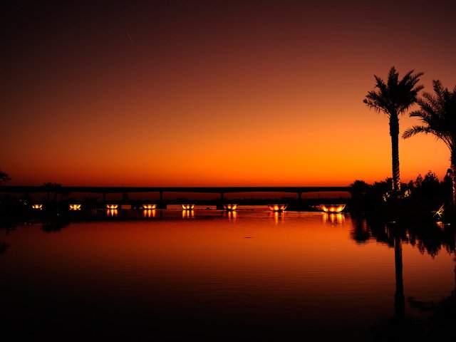 Обои закат, город, пальмы, дубай, sunset, the city, palm trees, dubai разрешение 2560x1600 Загрузить