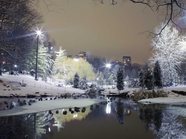 Обои gorod park derevya zima sneg stavok fonari, gorod park derevya sneg zima stavok fonari разрешение 4468x2979 Загрузить