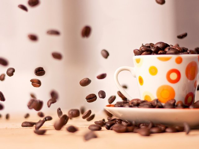 Обои зерна, кофе, кружка, блюдце, чашка, кофейные зерна, grain, coffee, mug, saucer, cup, coffee beans разрешение 1920x1200 Загрузить