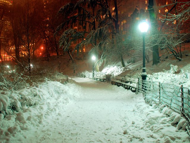 Обои снег, зима, дорожка, город, фонарь, snow, winter, track, the city, lantern разрешение 2560x1600 Загрузить