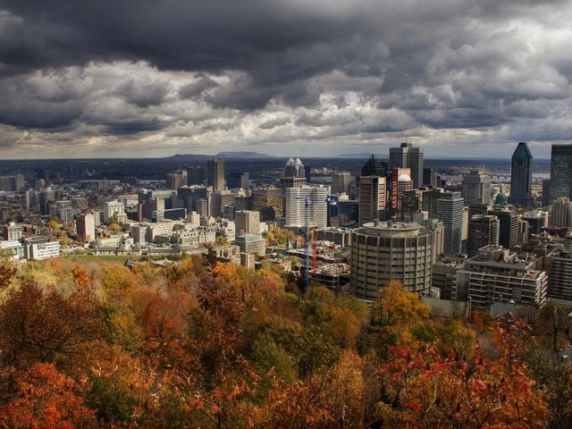 Обои небо, деревья, город, осень, здания, канада, монреаль, the sky, trees, the city, autumn, building, canada, montreal разрешение 1920x1440 Загрузить