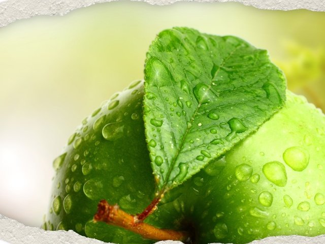 Обои вода, макро, капли, фрукты, яблоко, листик, зеленое, water, macro, drops, fruit, apple, leaf, green разрешение 2560x1600 Загрузить