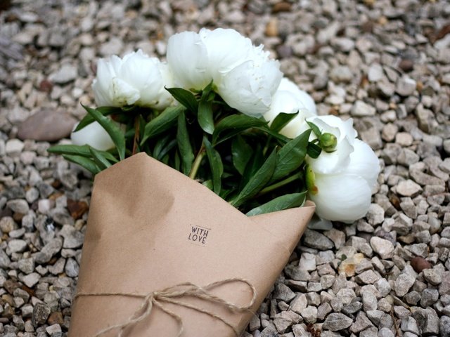 Обои букет, белые, гравий, пионы, bouquet, white, gravel, peonies разрешение 2500x1647 Загрузить