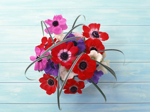 Обои cvety, krasnyj, buket, stol, kompoziciya разрешение 2950x2094 Загрузить