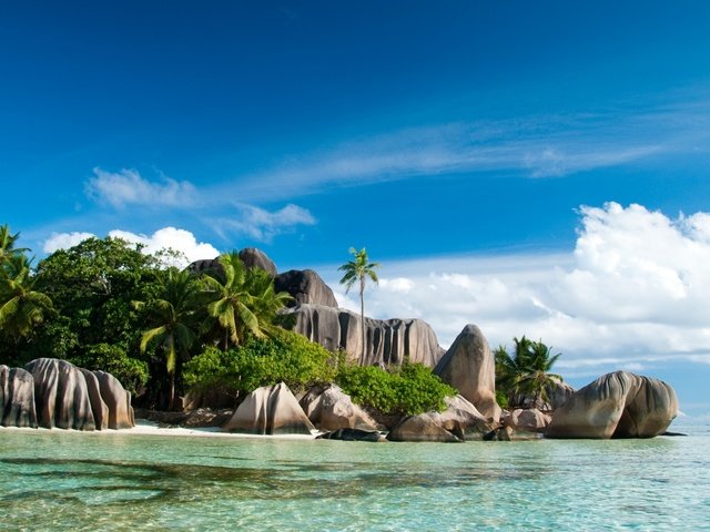 Обои камни, пляж, пальмы, тропики, сейшелы, stones, beach, palm trees, tropics, seychelles разрешение 1920x1080 Загрузить