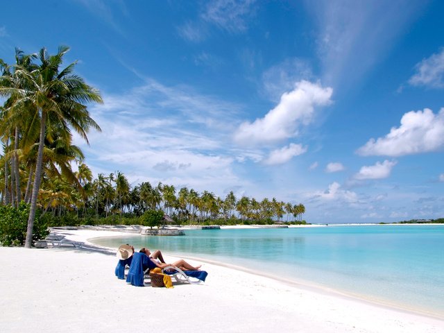 Обои пляж, пальмы, тропики, мальдивы, beach, palm trees, tropics, the maldives разрешение 4256x2848 Загрузить