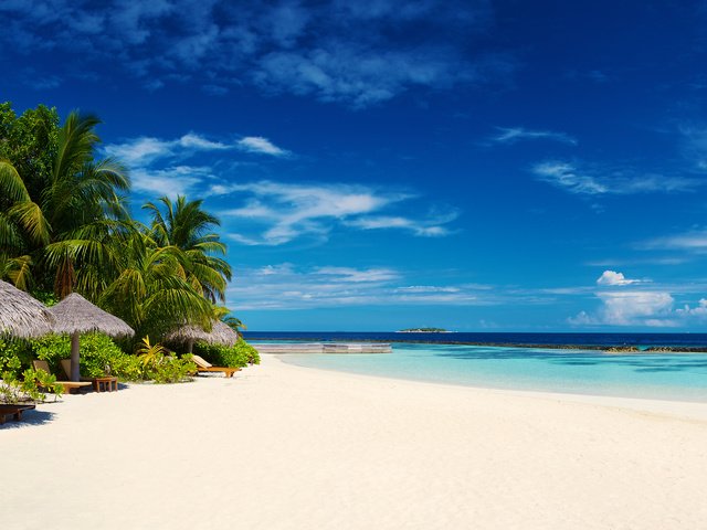 Обои пляж, пальмы, тропики, мальдивы, beach, palm trees, tropics, the maldives разрешение 3840x2400 Загрузить