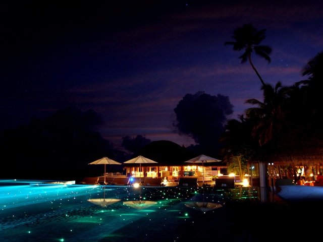 Обои вечер, пальмы, тропики, мальдивы, the evening, palm trees, tropics, the maldives разрешение 3504x2336 Загрузить