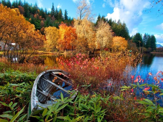 Обои небо, домик, цветы, деревья, озеро, река, лес, осень, лодка, the sky, house, flowers, trees, lake, river, forest, autumn, boat разрешение 1920x1200 Загрузить