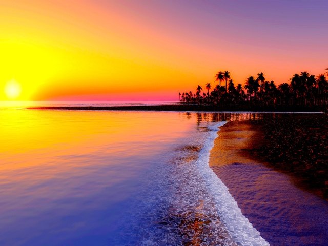 Обои закат, пляж, пальмы, тропики, sunset, beach, palm trees, tropics разрешение 1920x1200 Загрузить