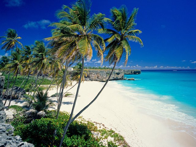 Обои пляж, пальмы, тропики, beach, palm trees, tropics разрешение 2560x1920 Загрузить