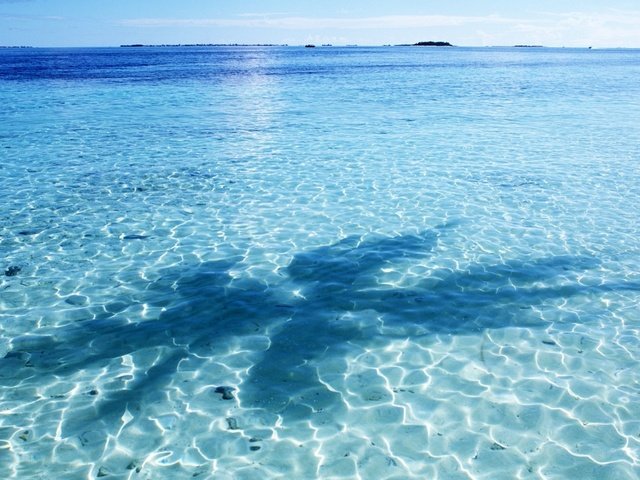 Обои небо, вода, отражение, тень, океан, пальма, мальдивы, the sky, water, reflection, shadow, the ocean, palma, the maldives разрешение 1920x1200 Загрузить