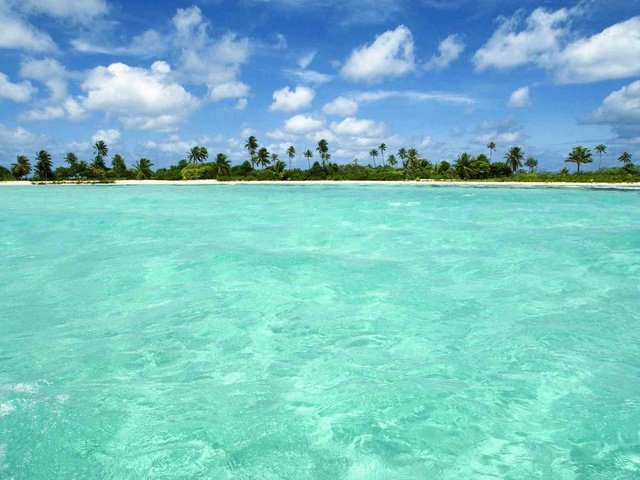 Обои пляж, остров, тропики, мальдивы, beach, island, tropics, the maldives разрешение 2000x1333 Загрузить