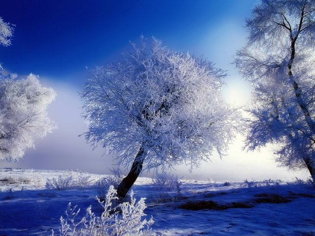 Обои зима, winter разрешение 2560x1920 Загрузить