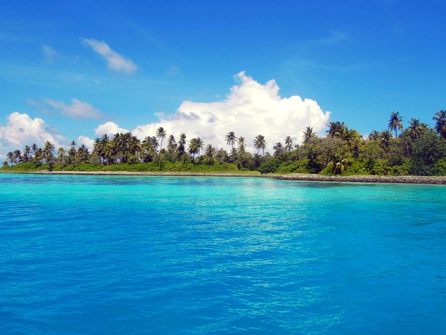 Обои остров, тропики, island, tropics разрешение 2975x1951 Загрузить