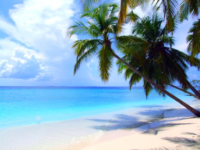 Обои пляж, тропики, beach, tropics разрешение 3472x2587 Загрузить