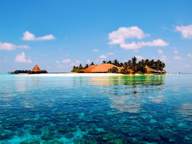 Обои остров, тропики, мальдивы, island, tropics, the maldives разрешение 1920x1430 Загрузить