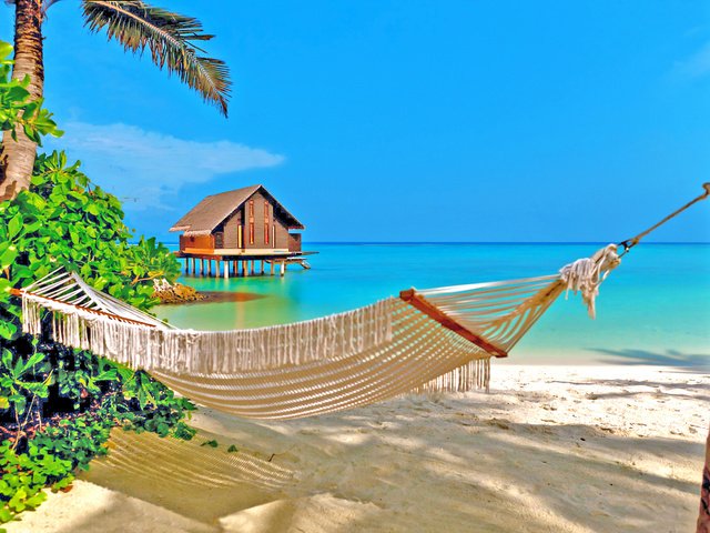 Обои море, пляж, гамак, тропики, sea, beach, hammock, tropics разрешение 2536x1615 Загрузить