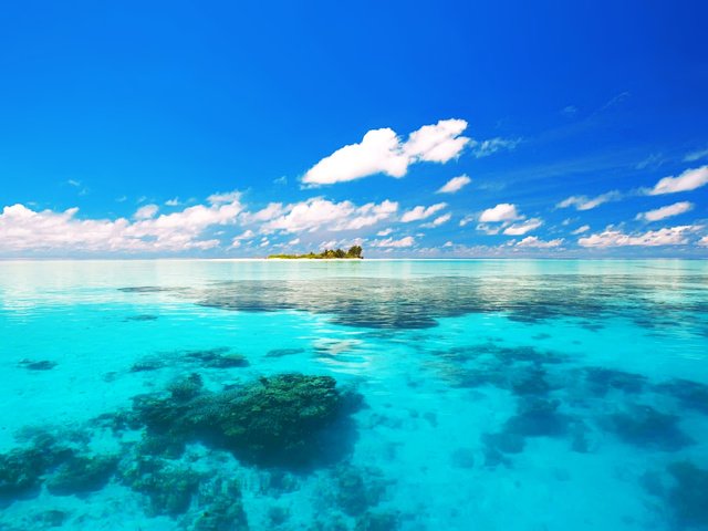 Обои море, остров, тропики, sea, island, tropics разрешение 2560x1920 Загрузить