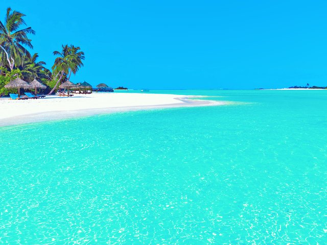 Обои море, пляж, остров, тропики, sea, beach, island, tropics разрешение 1920x1280 Загрузить