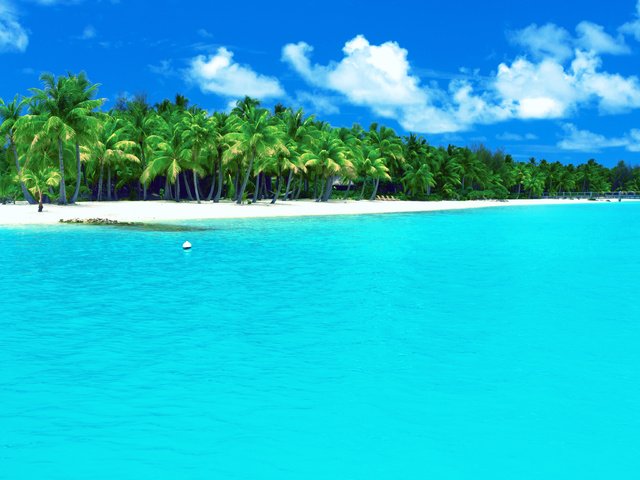 Обои море, пляж, тропики, мальдивы, sea, beach, tropics, the maldives разрешение 3888x2592 Загрузить