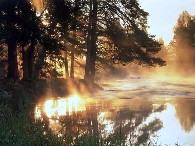 Обои трава, деревья, вода, солнце, лес, лучи, туман, grass, trees, water, the sun, forest, rays, fog разрешение 2000x1500 Загрузить