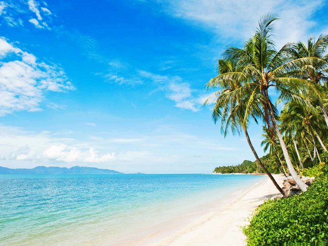 Обои море, пляж, отдых, тропики, sea, beach, stay, tropics разрешение 2386x1613 Загрузить