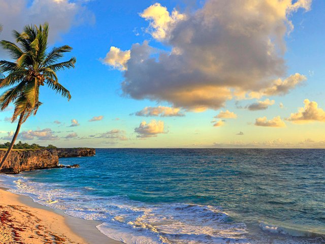 Обои море, пляж, отдых, тропики, sea, beach, stay, tropics разрешение 3840x1200 Загрузить