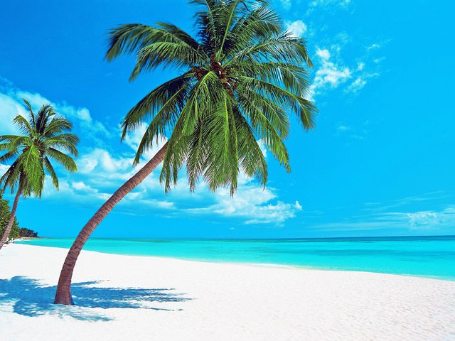 Обои море, пляж, отдых, тропики, sea, beach, stay, tropics разрешение 1920x1280 Загрузить