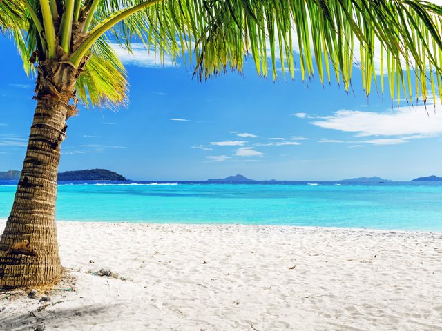 Обои море, пляж, отдых, остров, тропики, sea, beach, stay, island, tropics разрешение 4893x3241 Загрузить