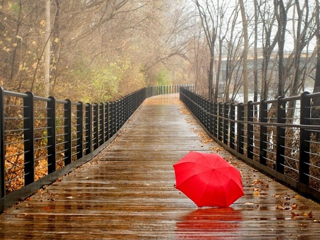 Обои деревья, прогулка, река, зонтик, природа, зонтик на мокром мосту, листья, парк, мост, осень, дождь, trees, walk, river, umbrella, nature, umbrella on a wet bridge, leaves, park, bridge, autumn, rain разрешение 2560x1440 Загрузить