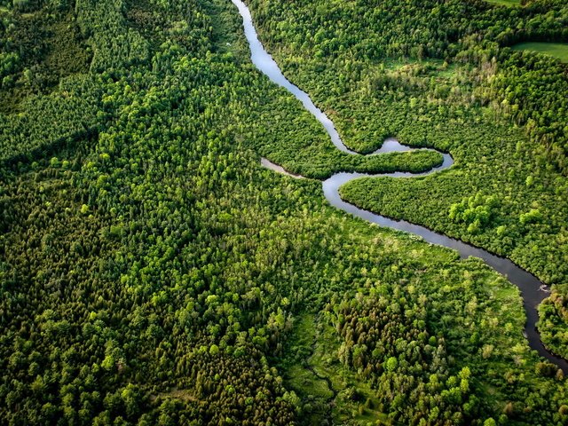 Обои зелень, лес, панорама, вид сверху, речка, greens, forest, panorama, the view from the top, river разрешение 1920x1200 Загрузить