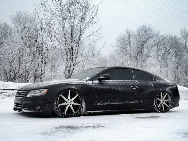 Обои снег, зима, ауди, тюнинг, диски, audi s5, snow, winter, audi, tuning, drives разрешение 1920x1080 Загрузить