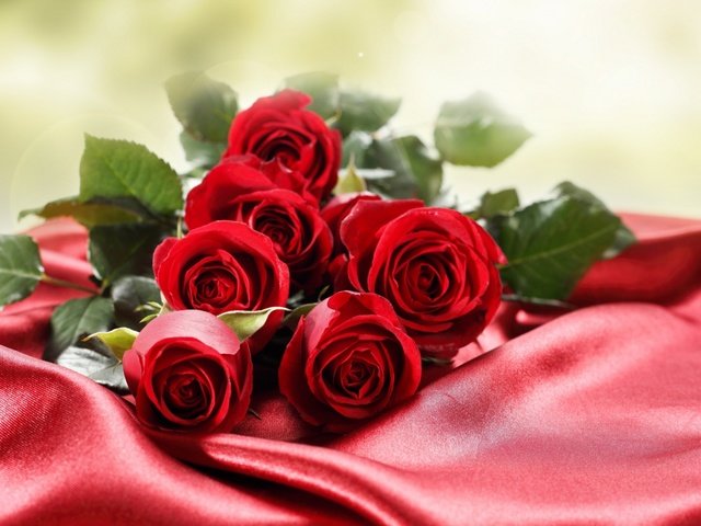 Обои цветы, макро, фото, розы, красный фон, flowers, macro, photo, roses, red background разрешение 2560x1600 Загрузить