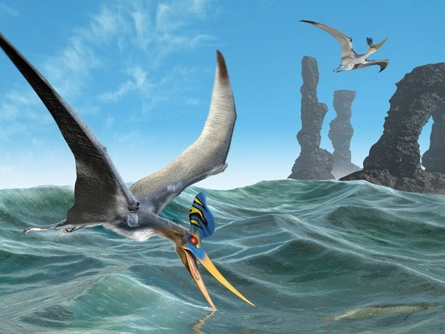 Обои скалы, море, полет, птица, арка, птеродактиль, rocks, sea, flight, bird, arch, pterodactyl разрешение 1920x1080 Загрузить