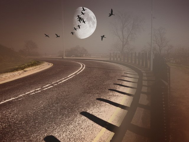 Обои дорога, стиль, фон, птицы, road, style, background, birds разрешение 1920x1200 Загрузить